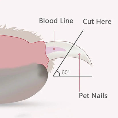 SafeGroom LED Pet Nail Clippers™
