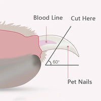 SafeGroom LED Pet Nail Clippers™